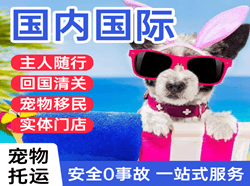广元盘龙机场快递国际宠物托运 【国